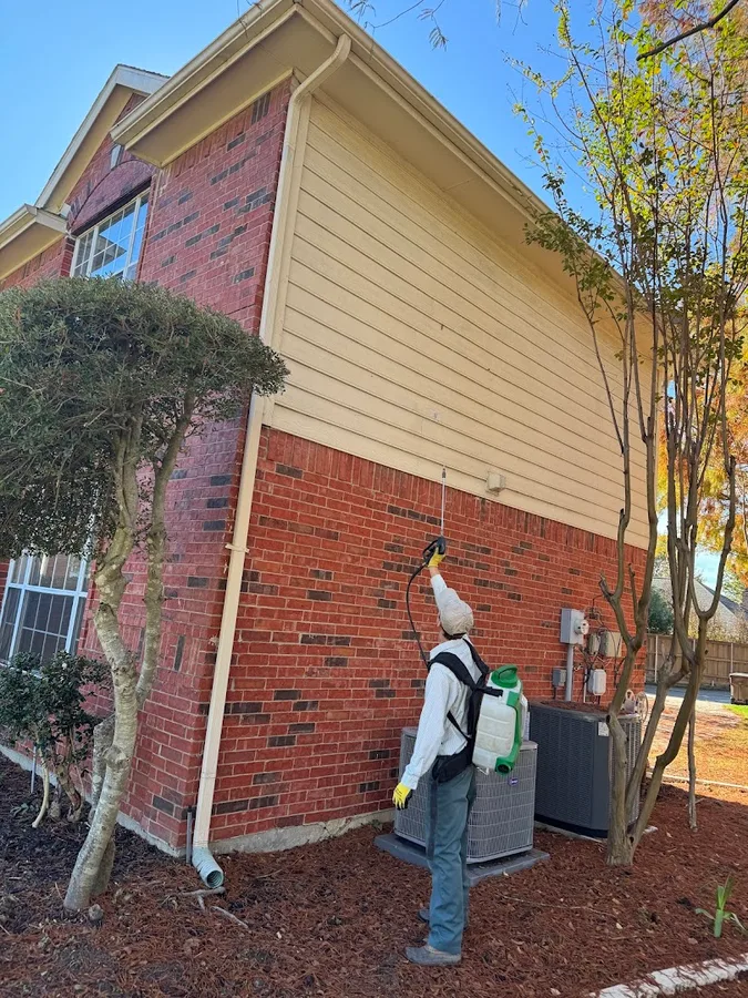 All Safe Pest & Termite in Plano, TX — business photo 3