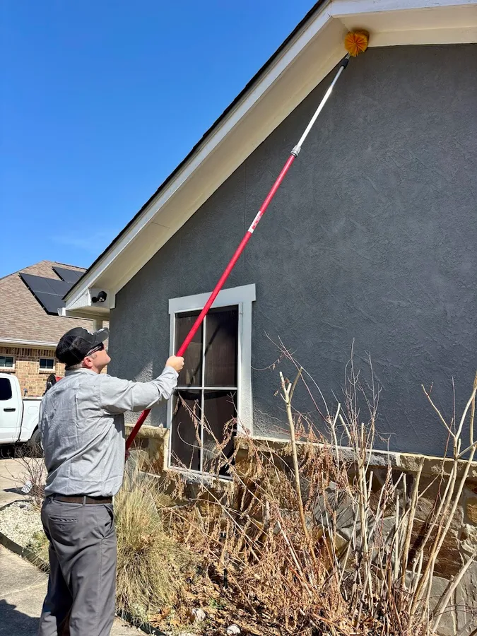 Mission City Pest Group — pest control in San Antonio, BEXAR County, TX