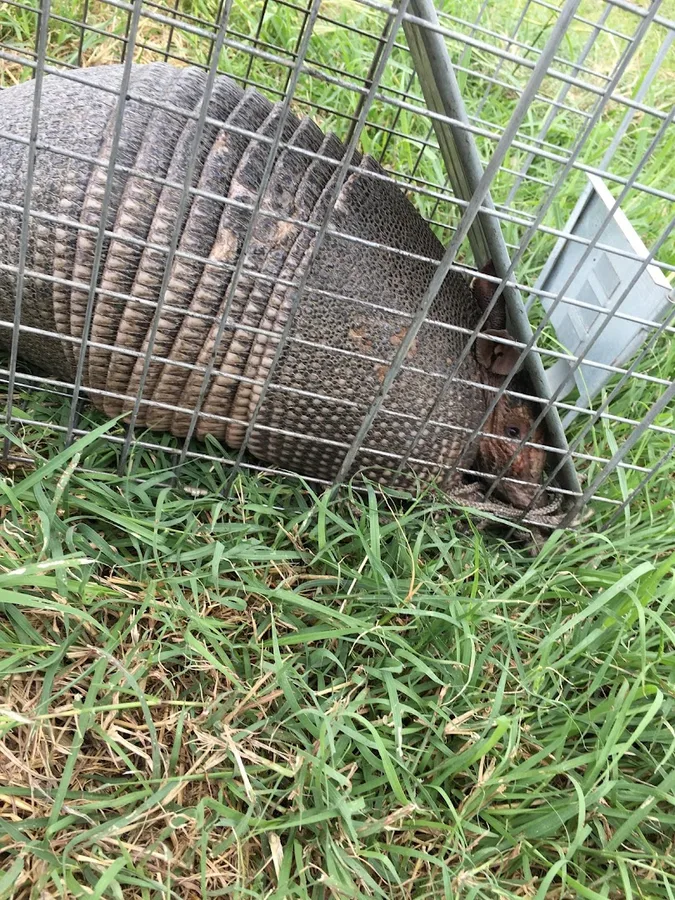 Mission City Pest Group in San Antonio, TX — business photo 5