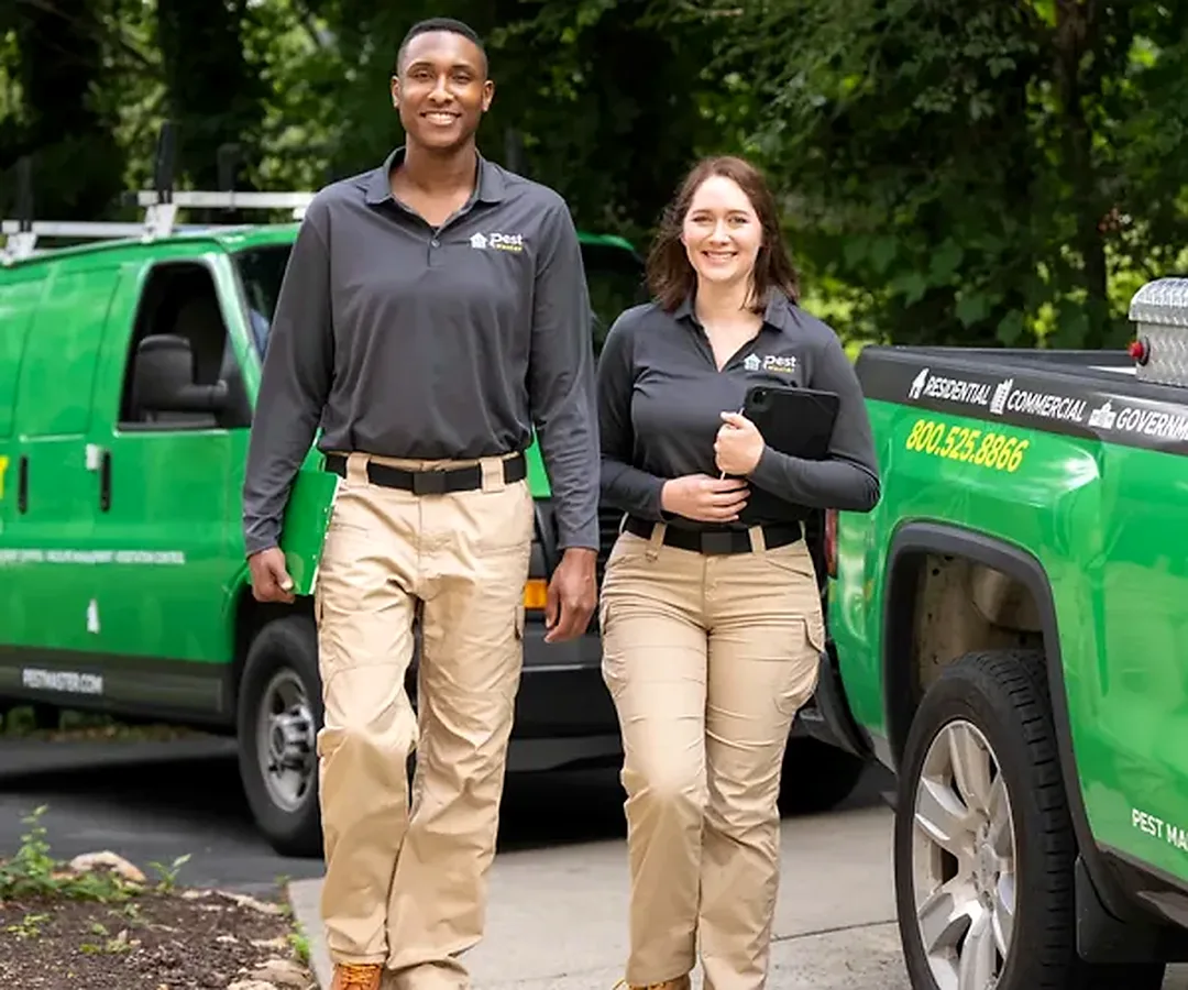 Pestmaster — pest control in San Angelo, TOM GREEN County, TX