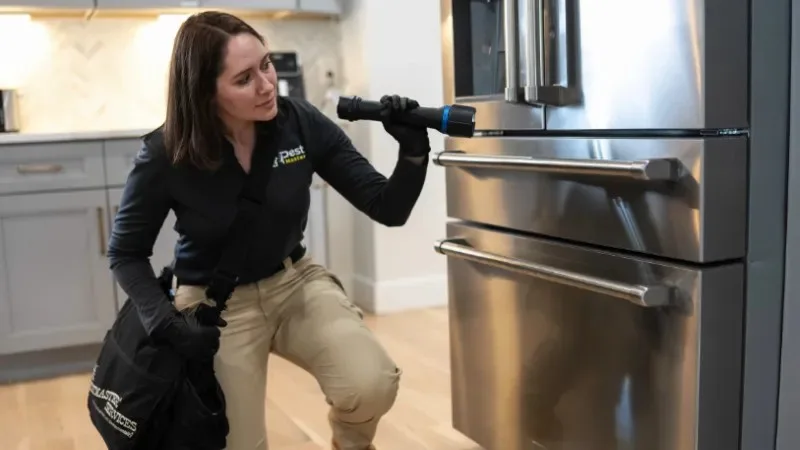 Pestmaster in San Angelo, TX — business photo 4