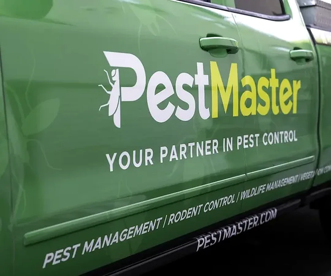 Pestmaster in San Angelo, TX — business photo 6
