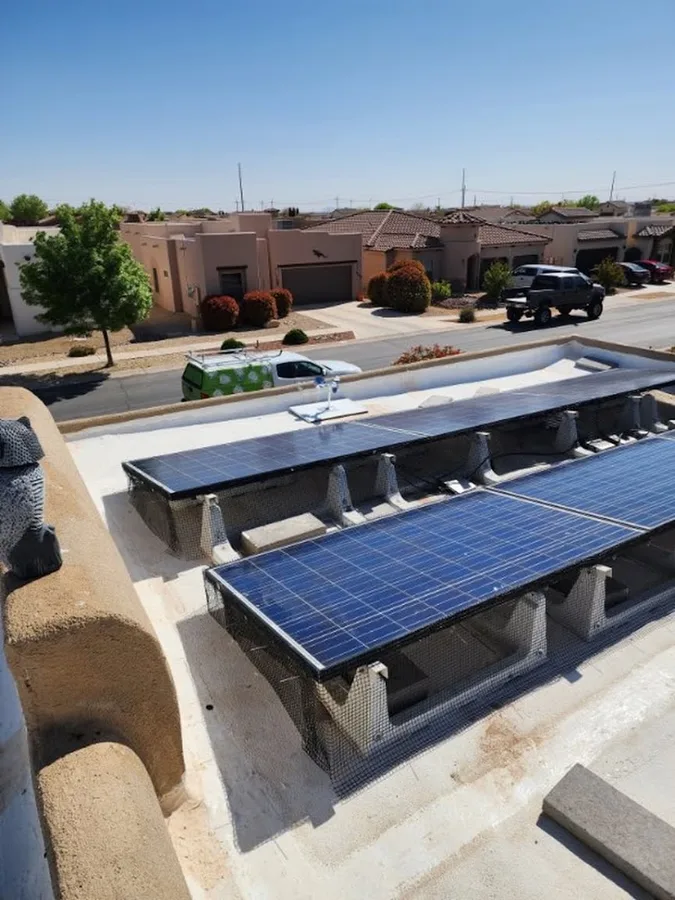 Border Plex Pest Control in El Paso, TX — business photo 5