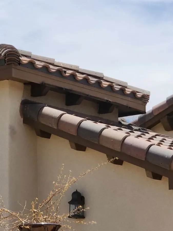 Border Plex Pest Control in El Paso, TX — business photo 6