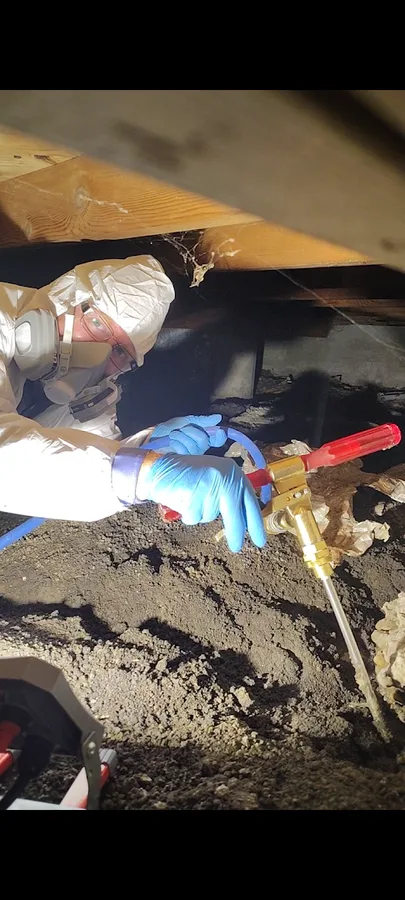 Connections Pest Control in Dallas, TX — business photo 3