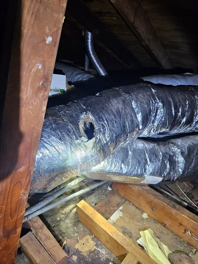 Sasquatch Pest Control — pest control in Houston, HARRIS County, TX