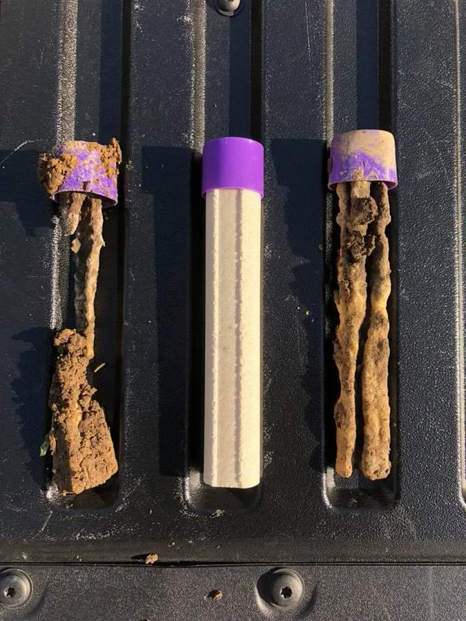 Rogue Pest Solutions - DFW in Fort Worth, TX — business photo 2