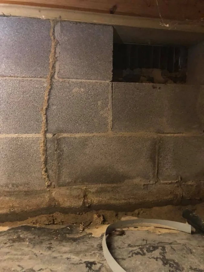 Rogue Pest Solutions - DFW in Fort Worth, TX — business photo 4