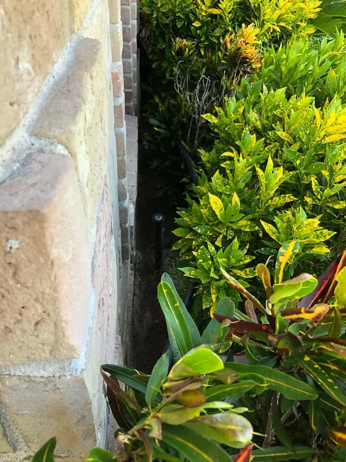 Chuchuy Tubings & Pest Control LLC in Mission, TX — business photo 3