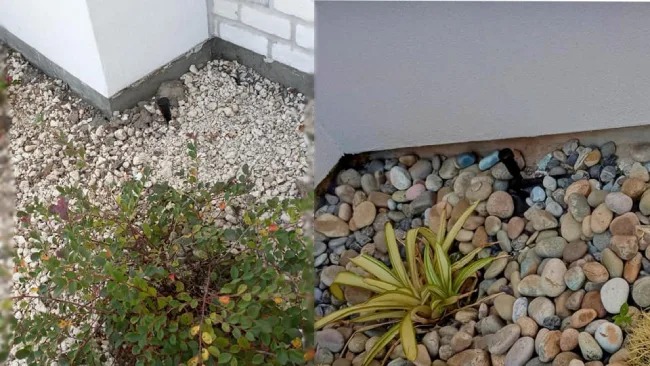 Chuchuy Tubings & Pest Control LLC in Mission, TX — business photo 4