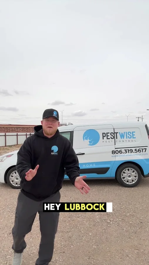Pestwise, LLC — pest control in Lubbock, LUBBOCK County, TX
