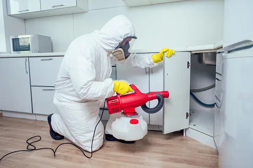 Conroe Pest & Termite Exterminators — pest control in Conroe, MONTGOMERY County, TX