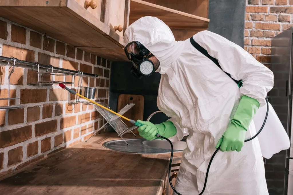 Conroe Pest & Termite Exterminators in Conroe, TX — business photo 3