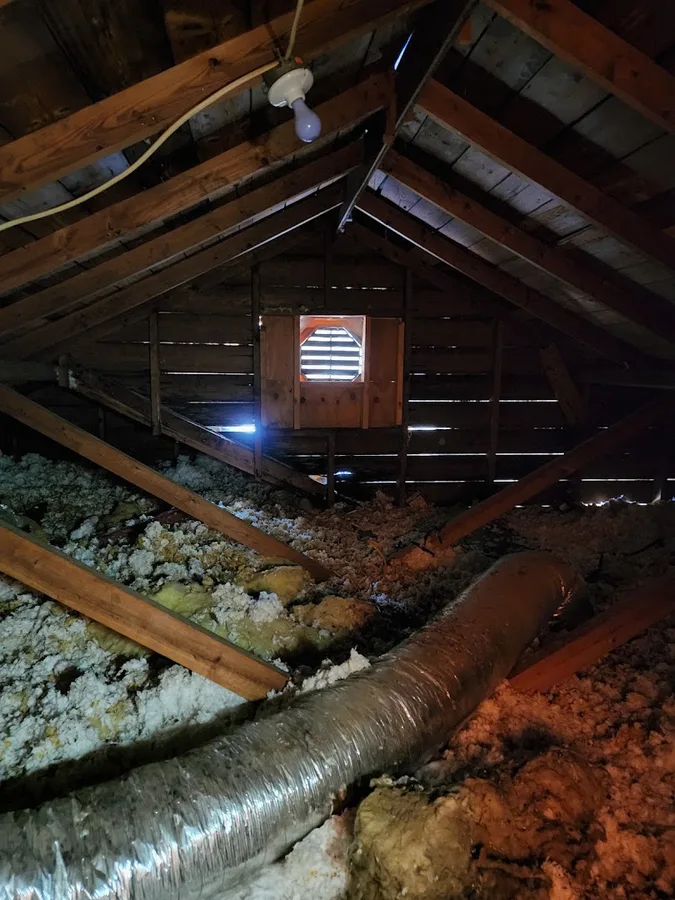 Hitman Exterminators — pest control in Mt Pleasant, TITUS County, TX