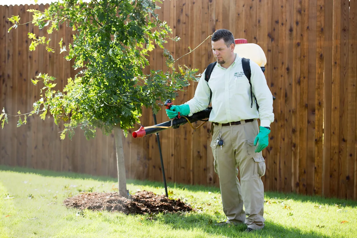 Safe Pro Pest Control — pest control in Southlake, TARRANT County, TX