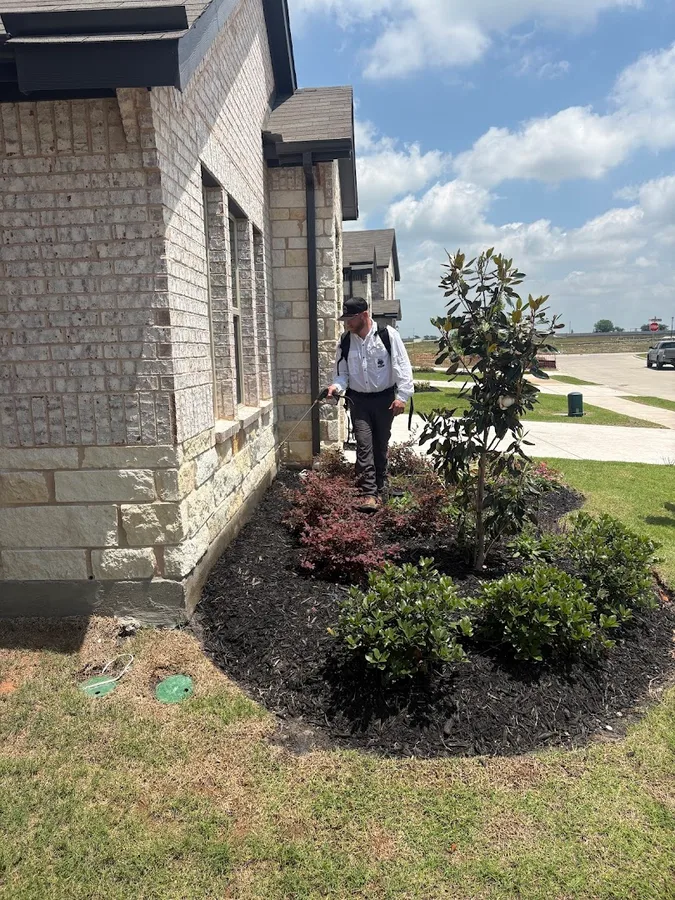 Lone Star Pest Shield in McKinney, TX — business photo 2