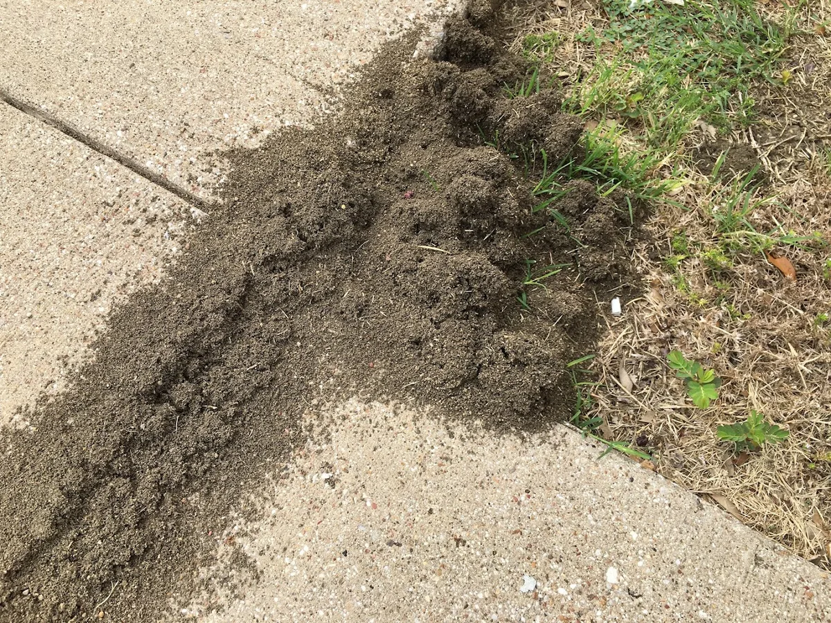 K.O. Pest Control in Fort Worth, TX — business photo 3