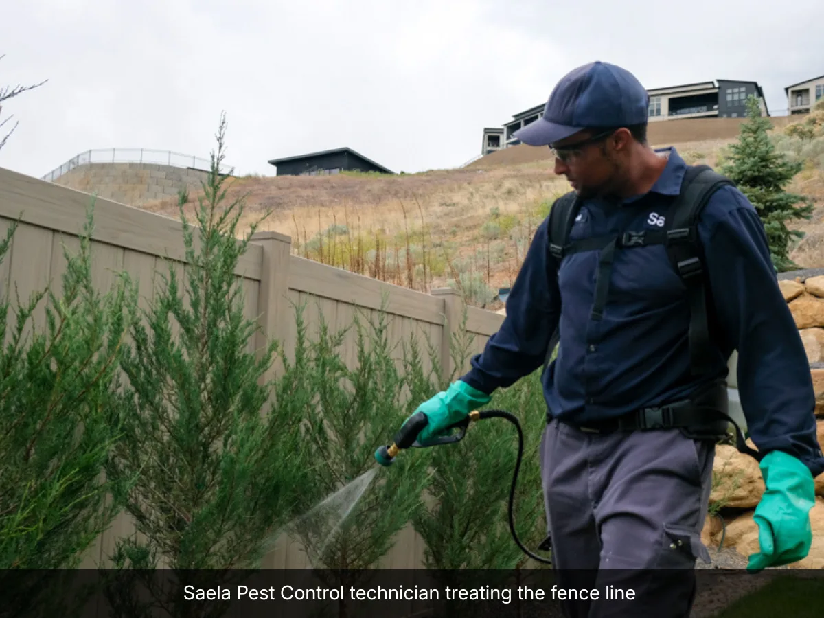 Saela Pest Control in Frisco, TX — business photo 2