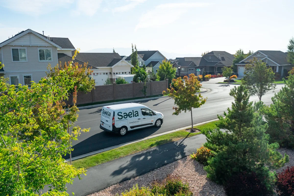 Saela Pest Control in Frisco, TX — business photo 3