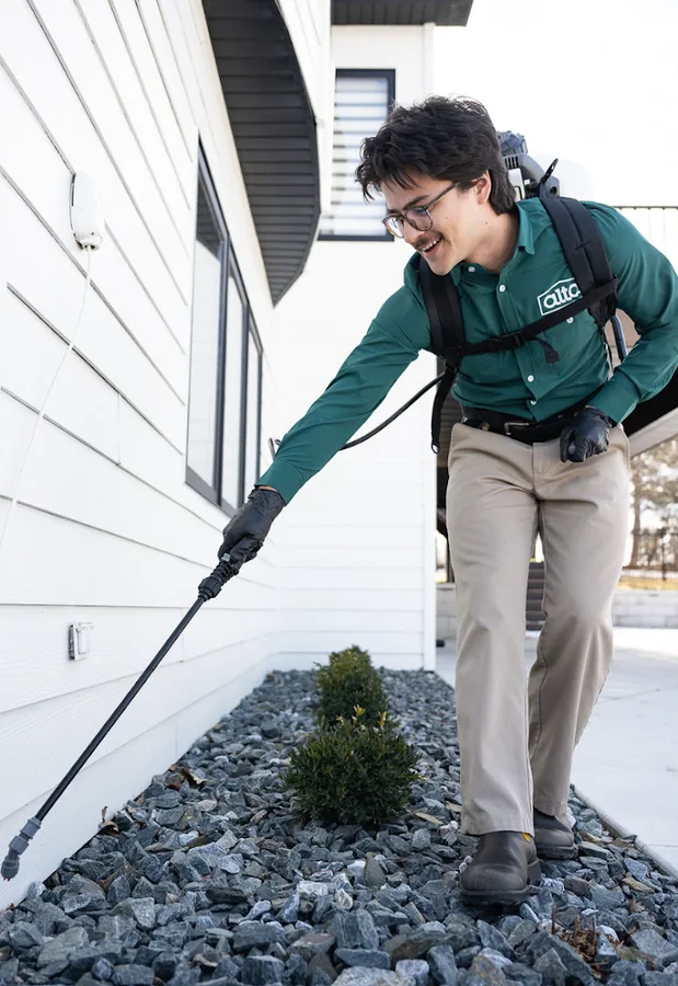 Alta Pest Control — pest control in Houston, HARRIS County, TX