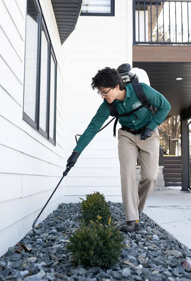 Alta Pest Control in Houston, TX — business photo 2