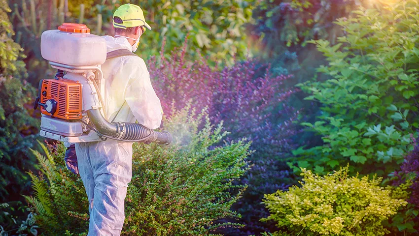 Bug Defence — pest control in Houston, HARRIS County, TX