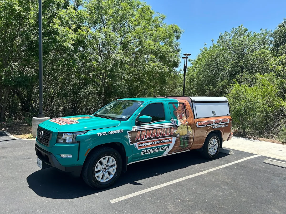 Armadillo Mosquito & Pest Control — pest control in San Antonio, BEXAR County, TX