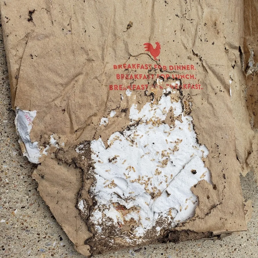 Superior Pest Management LLC in Mesquite, TX — business photo 4
