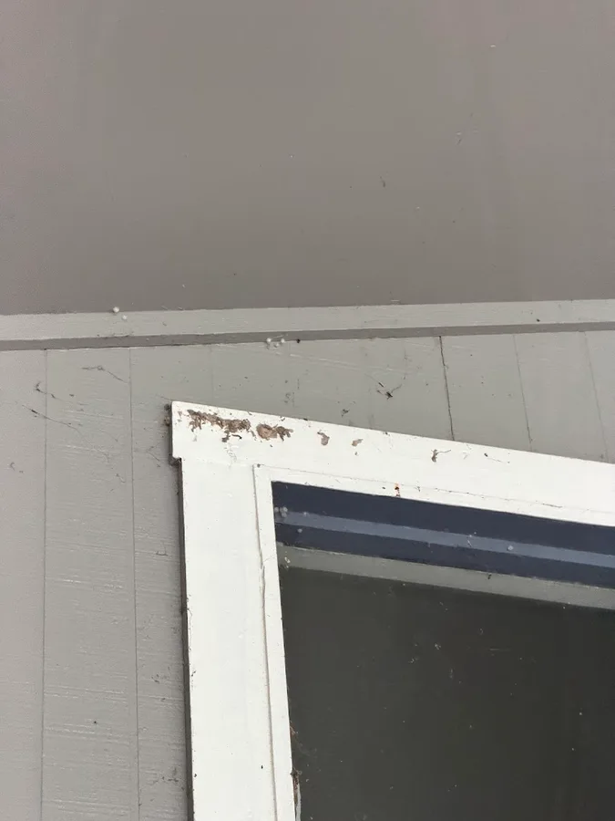 SafeHouse Pest Control in Corpus Christi, TX — business photo 6