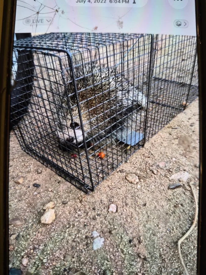Freedom Pest & Wildlife Control LLC in Granbury, TX — business photo 2
