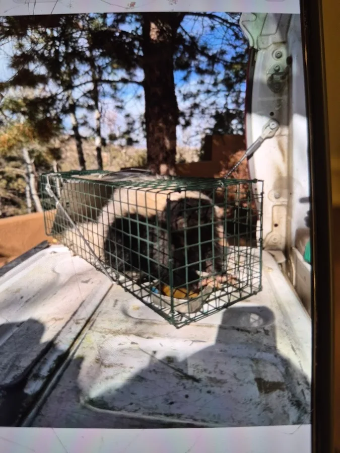 Freedom Pest & Wildlife Control LLC in Granbury, TX — business photo 6