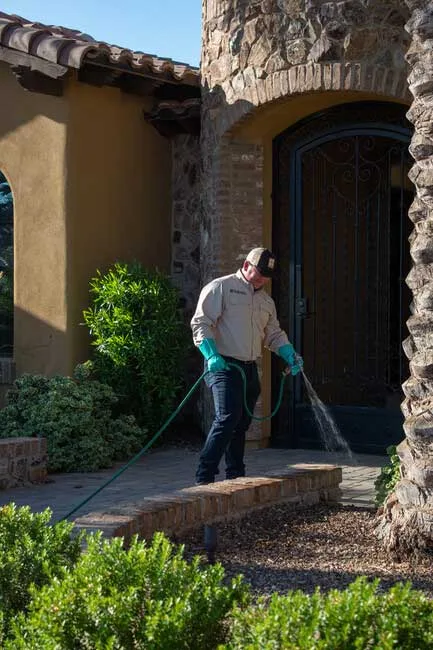 Bulwark Exterminating in Dallas, TX — business photo 3